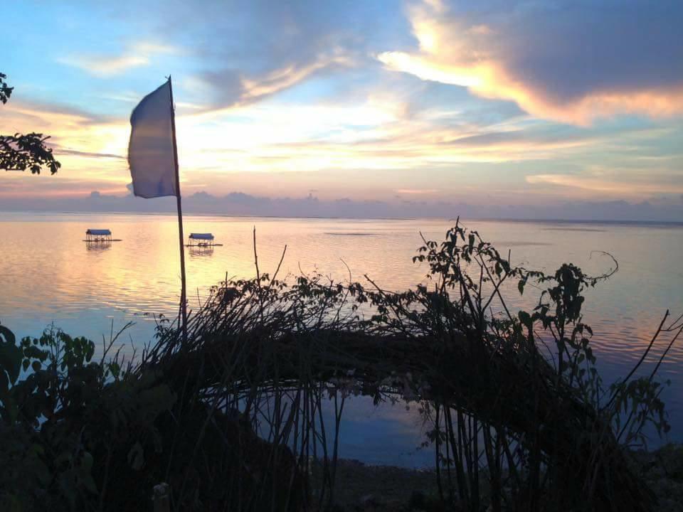 Birdland Beach Club Bolinao Dış mekan fotoğraf