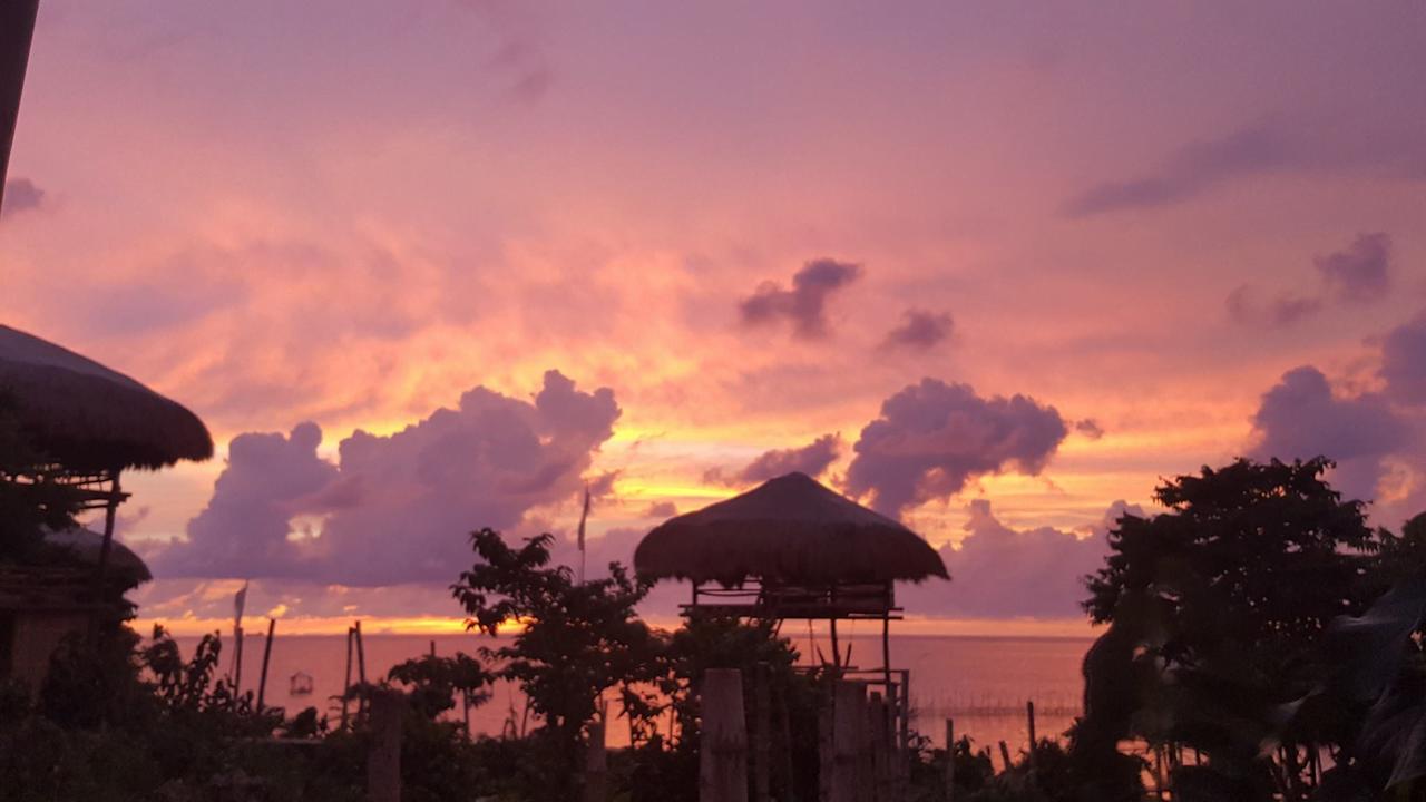 Birdland Beach Club Bolinao Dış mekan fotoğraf