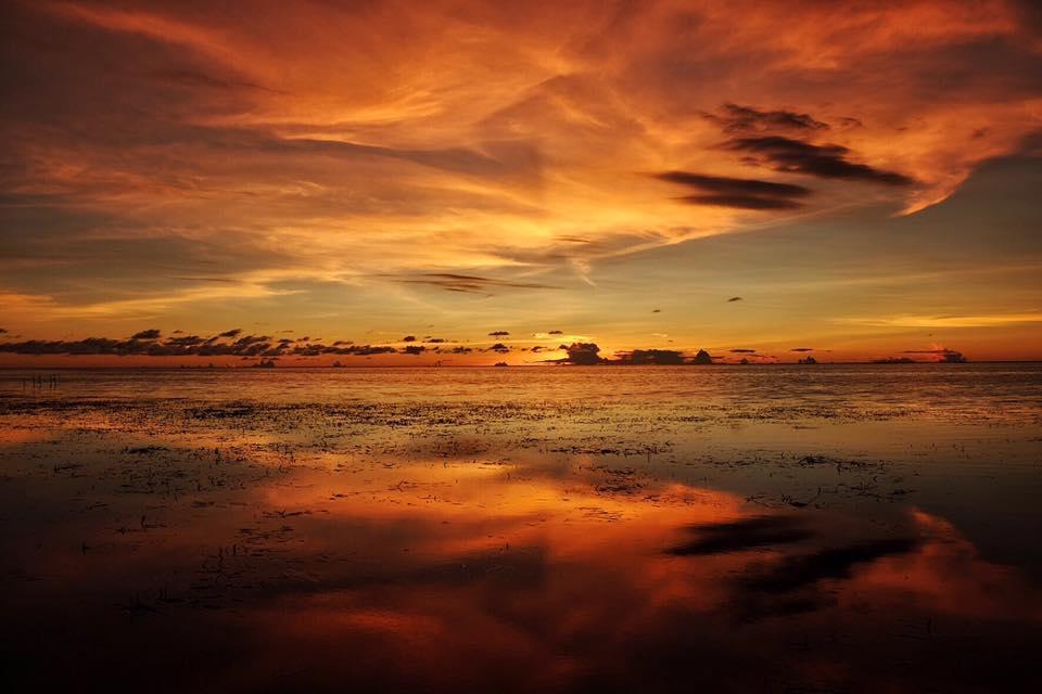 Birdland Beach Club Bolinao Dış mekan fotoğraf